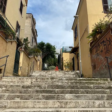 The Pilgrim's Court רומא