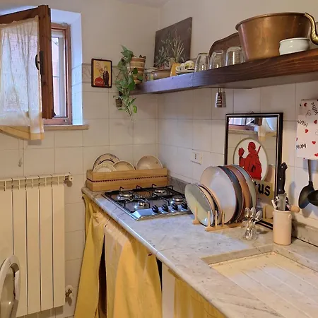 The Pilgrim's Court *